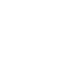 SOCNET logo