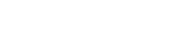 Undetectable logo